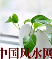 鞍山家中摆放六种吉祥物，会打开您的财运大门！